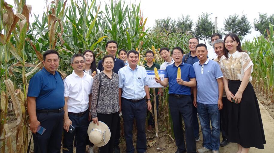 2021年9月,中國農村技術開發中心黨員干部深入田間地頭，赴中國農業科 學院作物科學研究所玉米試驗基地調研座談。
