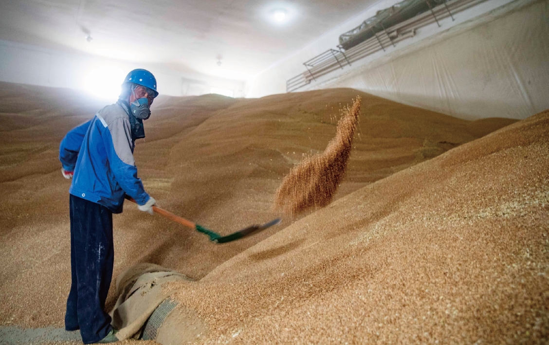 2023年6月13日，工作人員在泰州國家糧食儲備庫對糧食進行入庫。