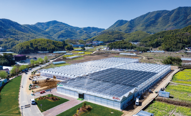 中信銀行提供貸款支持的浙江省余姚市梁弄鎮橫坎頭村蔬菜無土栽培基地項目。