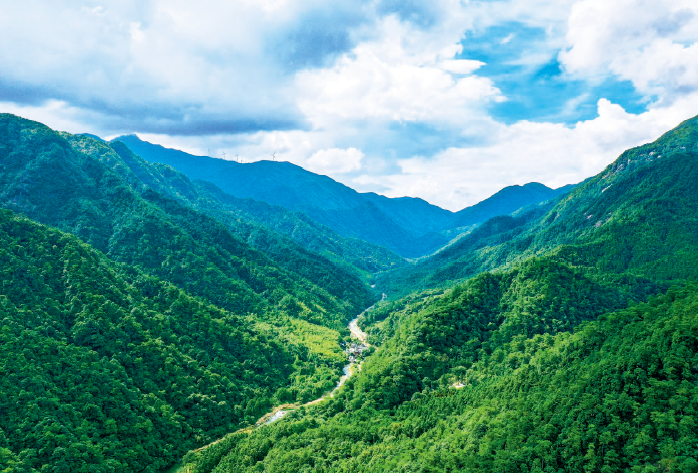 廣西法學會首席法律咨詢專家團隊經過努力，成功化解賀州姑婆山天沐溫泉國際旅 游度假區項目因轉包引發的勞務糾紛，切實維護了人民群眾合法權益。圖為姑婆山自治 區級自然保護區一角。