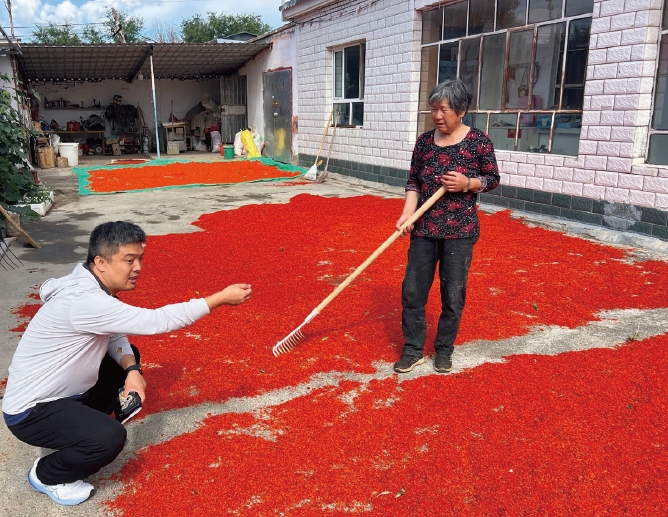 2024年7月19日，作者（ 左） 在塔城地區裕民縣調研紅花 產業，走訪紅花種植農戶。