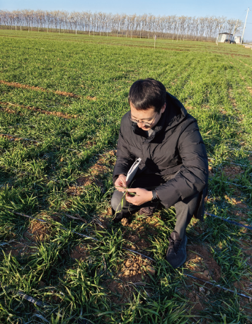 作者在浙江省永康市古山鎮調研油菜、小麥長勢。