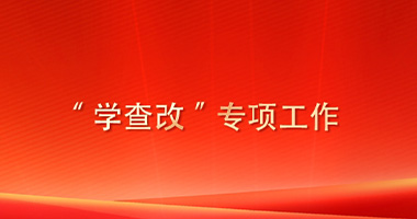 “學查改”專項工作
