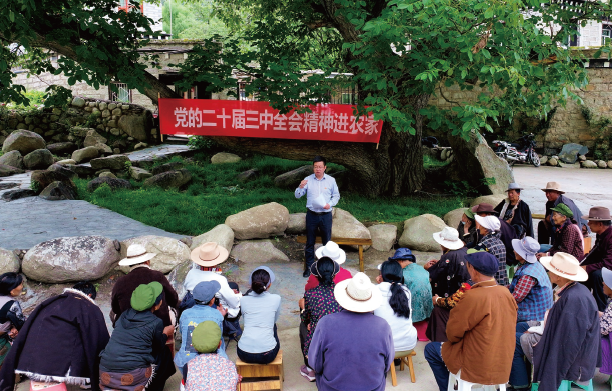 2024年7月23日，在四川省甘孜州稻城縣香格里拉鎮熱光村的百年核桃樹下，瀘州幫扶 稻城工作隊領隊向當地群眾宣講黨的二十屆三中全會精神。