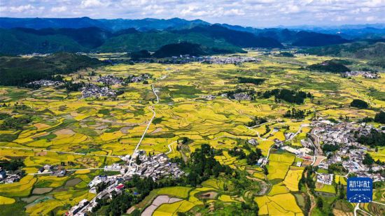 (新華全媒頭條·圖文互動)(7)從百年黨史汲取不懈奮斗的力量——與會同志談黨的十九屆六中全會精神