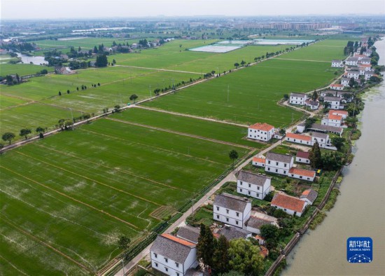 (新華全媒頭條·圖文互動)(5)從百年黨史汲取不懈奮斗的力量——與會同志談黨的十九屆六中全會精神