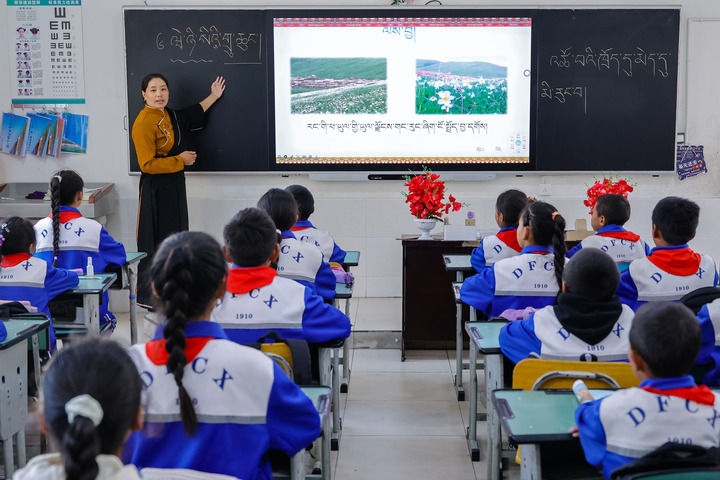 2024年9月27日，在四川省甘孜藏族自治州道孚縣城關第一完全小學，采取“藏加模式”教學的五年級一班的藏語文課上，準木周老師指導藏族學生以家鄉草原風物為主題寫作藏語文作文。新華社記者 沈伯韓 攝